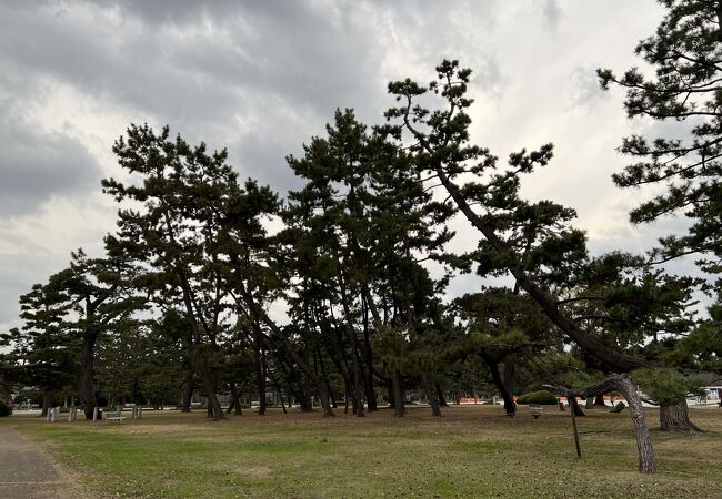 白砂青松の景色を今にとどめる公園。