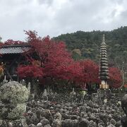 あだし野念仏寺にも素晴らしい竹林