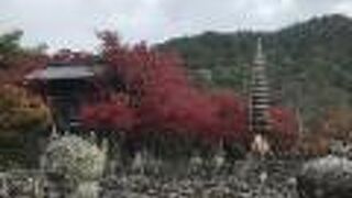 あだし野念仏寺にも素晴らしい竹林