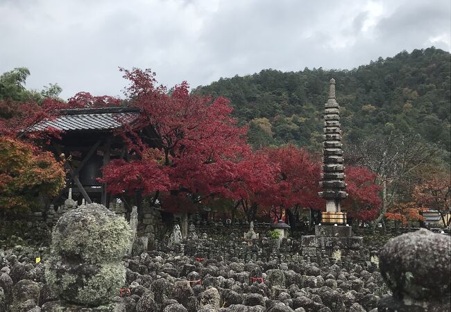 あだし野念仏寺にも素晴らしい竹林