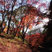 都心とは思えない景観です