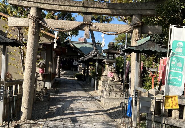 大鳥羽衣濱神社