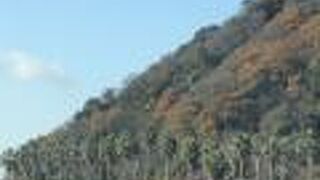 温泉と南国風景