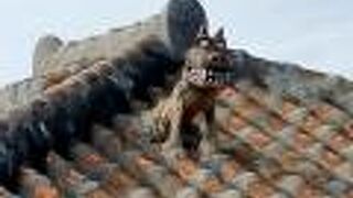 シ一サ一が楽しい