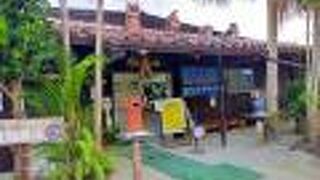 水牛車とレンタサイクル