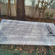 不可解