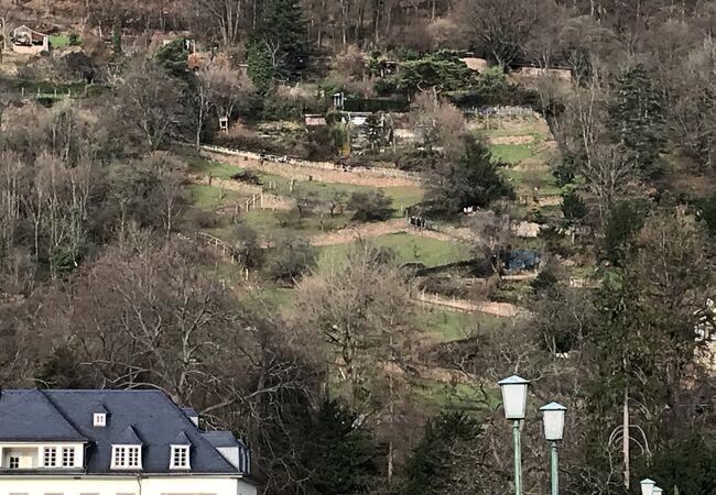 ネッカー川を渡った北側