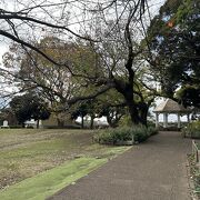 日本初の洋式公園