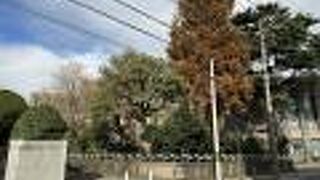 アメリカ人宣教師が開いた女学校がはじまり