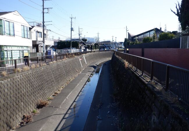 静かな感じの住宅街を流れる川でした。