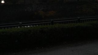 夕方から散策しました