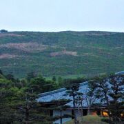 若草山、芝の山肌も♪