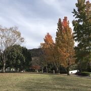 萬福寺の近くにある大きな公園