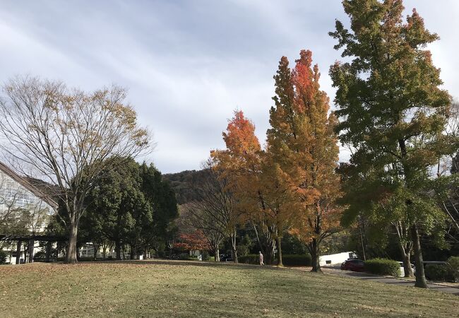 萬福寺の近くにある大きな公園