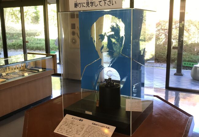 竹の生態や日本の文化との関わりを展示