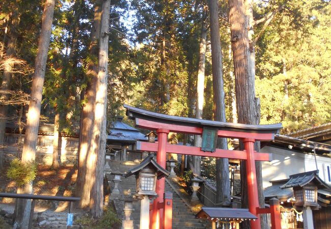 人気特価激安 飛騨高山 東山白山神社 空 思惟菩薩像 木彫風 レプリカ
