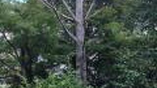 汐留シティセンター