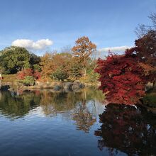 びわこ文化公園(文化ゾーン)