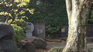 浅草寺境内の新奥山