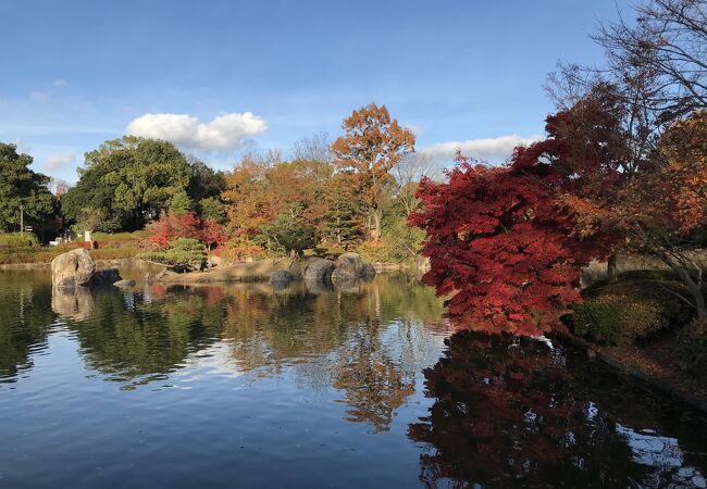手入れのよく行き届いた庭園