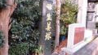 生姜を販売しているお店も見当たらなくて残念