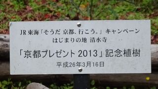 「そうだ　京都、行こう」の、その記念すべき初回は清水寺でした。
