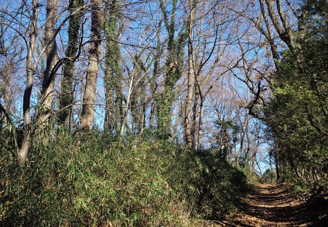 冬晴れの緑地は快適です