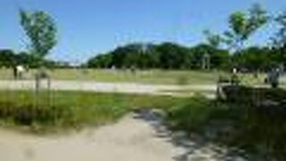 小川の流れる広くてきれいな都市公園