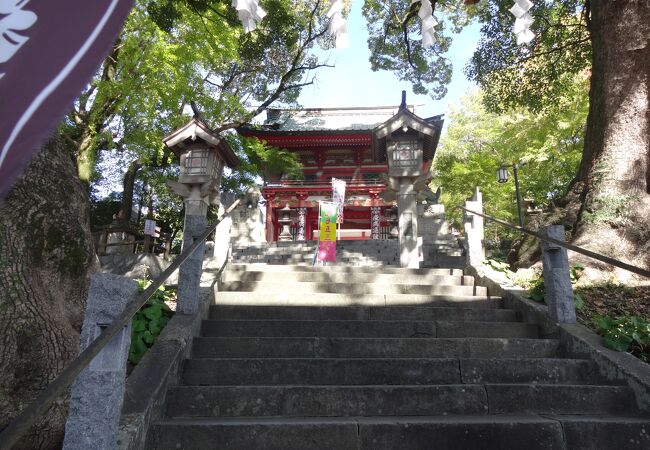 樹齢約千年の大きな「厄除けの夫婦楠」