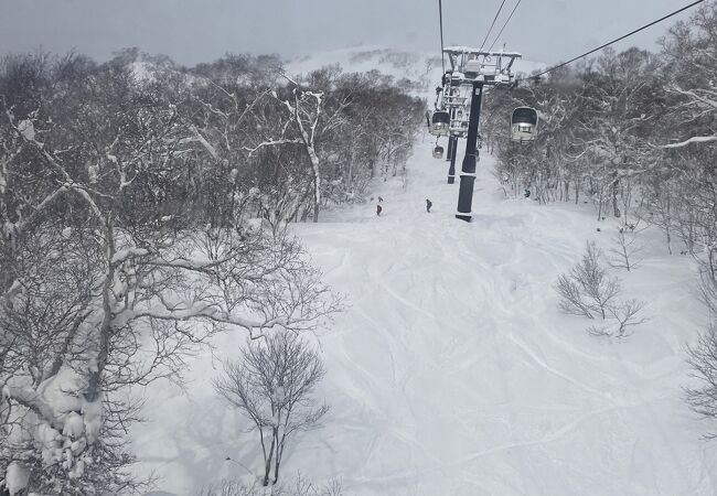 ファミリーも楽しめる