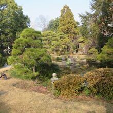 1300坪の大きな日本庭園もあります。