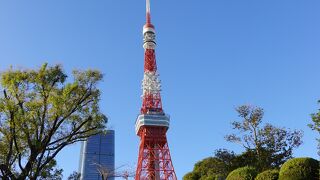 増上寺から見る東京タワー