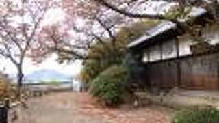 眺めの良いお寺