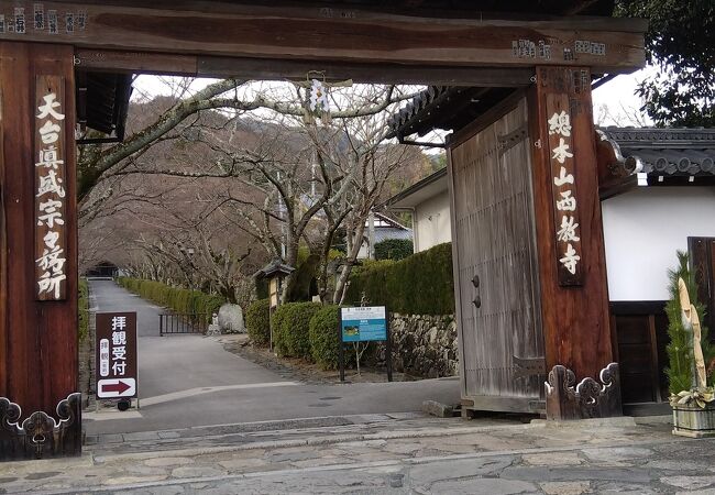 琵琶湖を望む唐門があるお寺