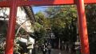 鳥居のすぐ隣には「兎楽の樹」