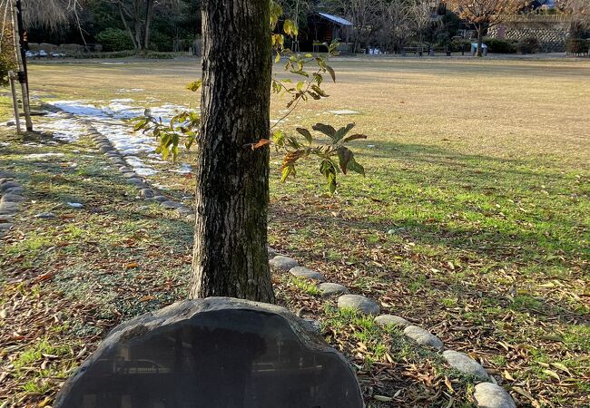 東屋と公衆トイレがある芝生広場