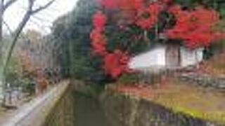 紅葉もおわりです　哲学の道