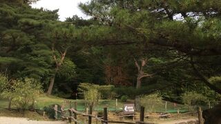 那須高原 南ヶ丘牧場