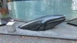 まさか、江戸時代はここまで鯨がくる海だったの?