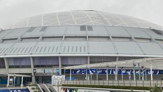 バンテリンドーム