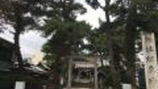 万祝が見れます