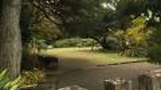 庭も建物もすてき