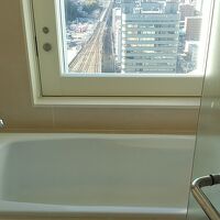 ビューバスで新幹線がよくみえます。