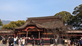 今年は天気が良かった