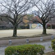 久留米市の中心地区、日吉町にある公園です。