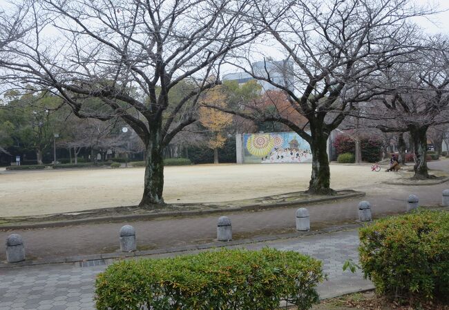 久留米市の中心地区、日吉町にある公園です。
