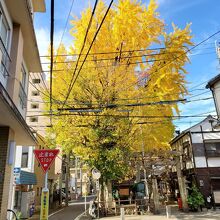 美しい神社でした。