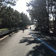 自転車を借りて半日過ごせました