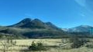 バスの車窓から見えました