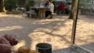 縮景園売店・泉水亭